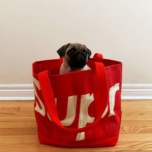 Meet your Posher, Erwin